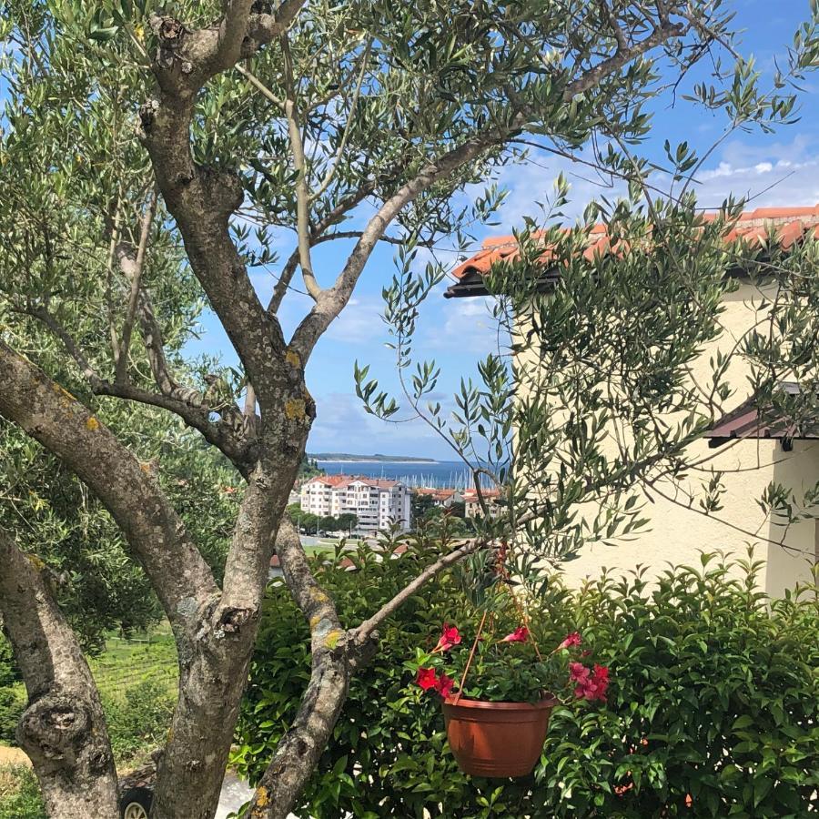 Residence Villa Fiore Portorož Dış mekan fotoğraf